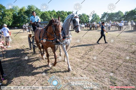 Mintakép 20260725-1619