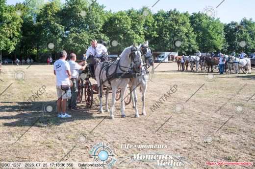 Mintakép 20260725-1620
