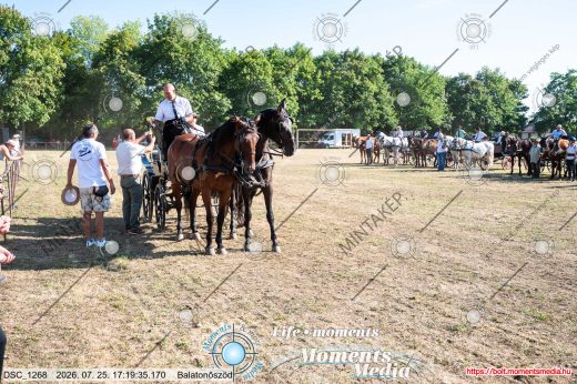 Mintakép 20260725-1624