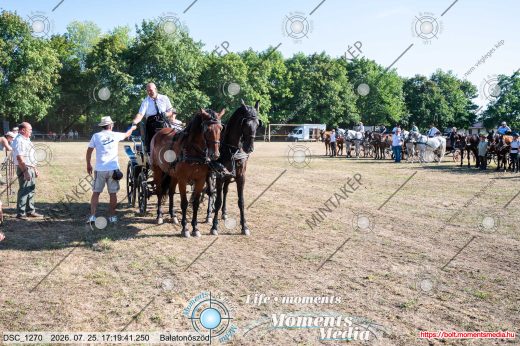 Mintakép 20260725-1625