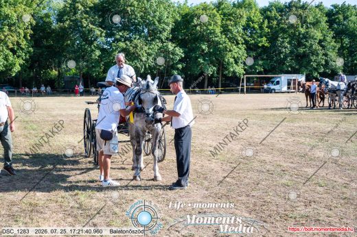 Mintakép 20260725-1629