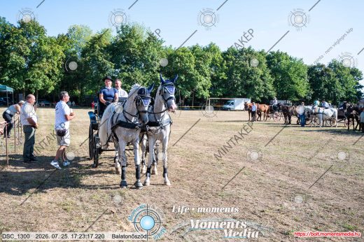 Mintakép 20260725-1638