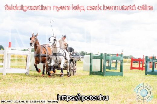 Mintakép 20260613-47