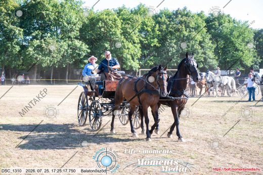 Mintakép 20260725-1643