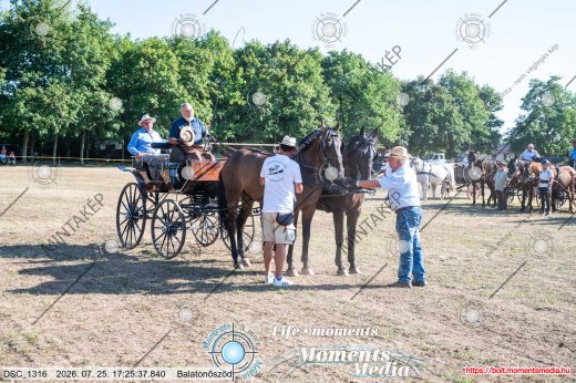 Mintakép 20260725-1647