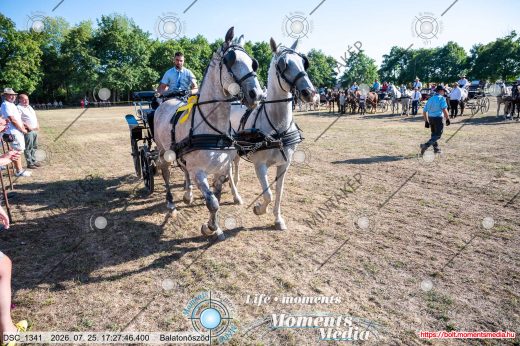 Mintakép 20260725-1656