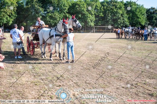 Mintakép 20260725-1662