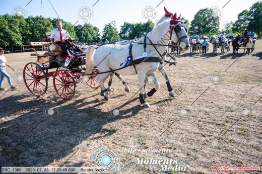 Mintakép 20260725-1665