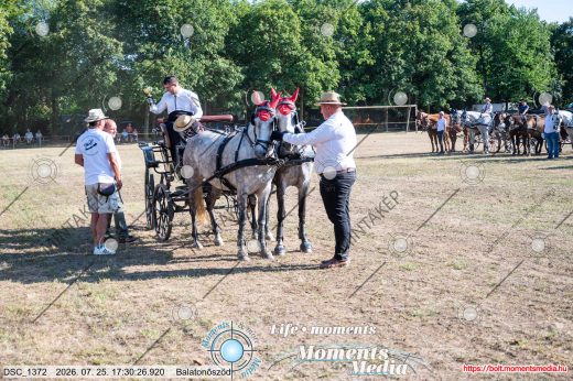 Mintakép 20260725-1667