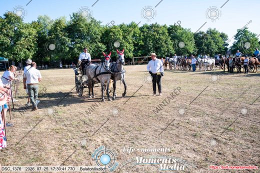 Mintakép 20260725-1668