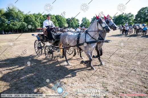 Mintakép 20260725-1669