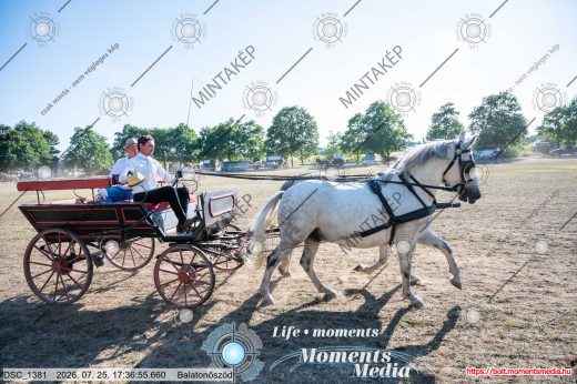 Mintakép 20260725-1670