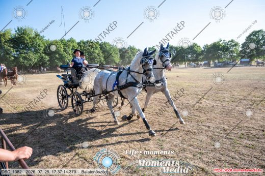 Mintakép 20260725-1671