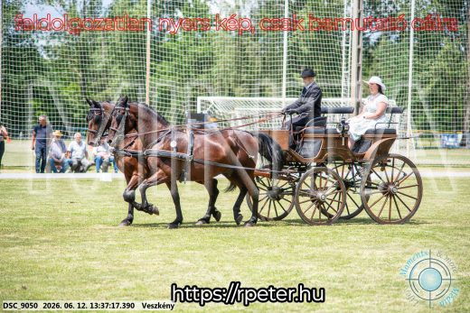 Mintakép 20260612-635