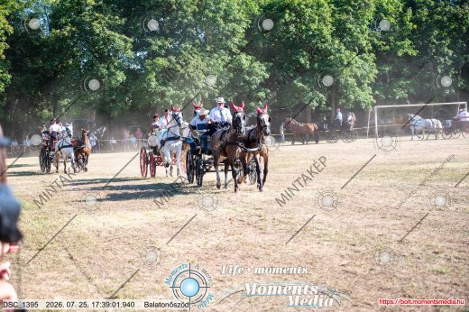 Mintakép 20260725-1679