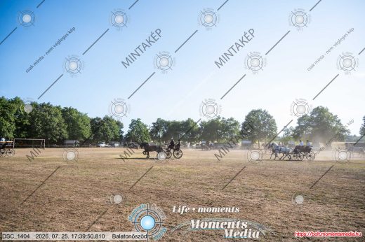 Mintakép 20260725-1687