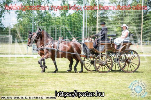 Mintakép 20260612-637