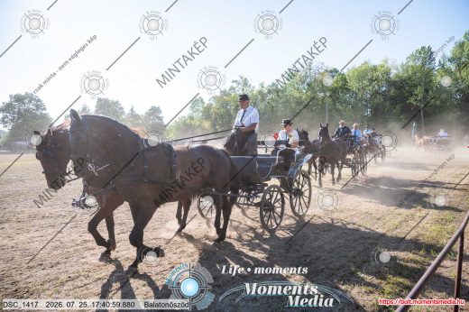 Mintakép 20260725-1699