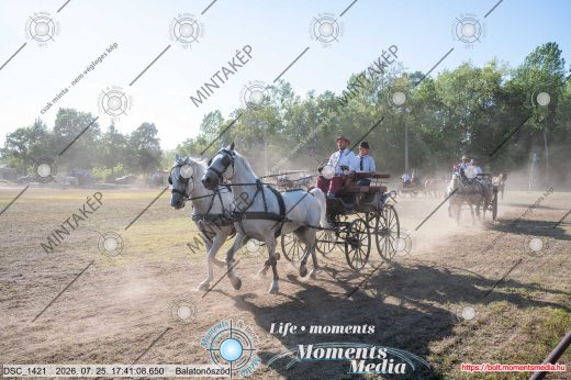 Mintakép 20260725-1703