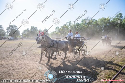 Mintakép 20260725-1704