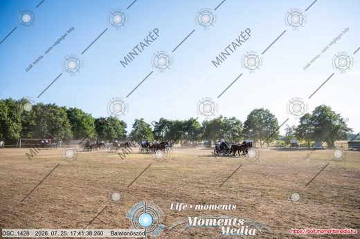 Mintakép 20260725-1710