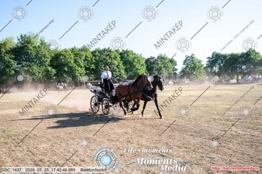 Mintakép 20260725-1718