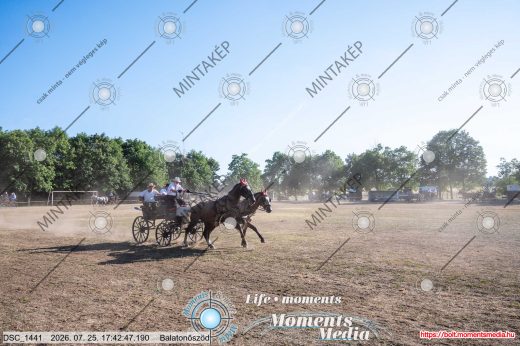 Mintakép 20260725-1719