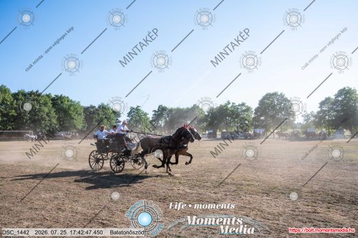 Mintakép 20260725-1720