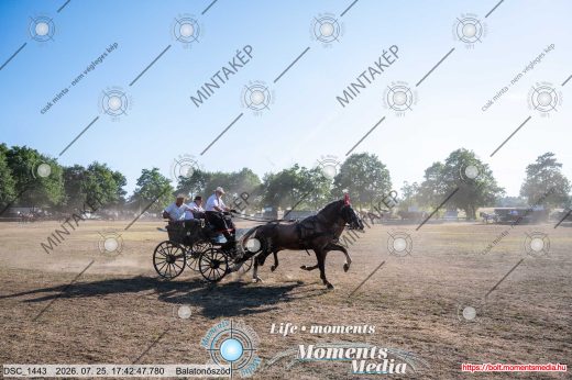 Mintakép 20260725-1721