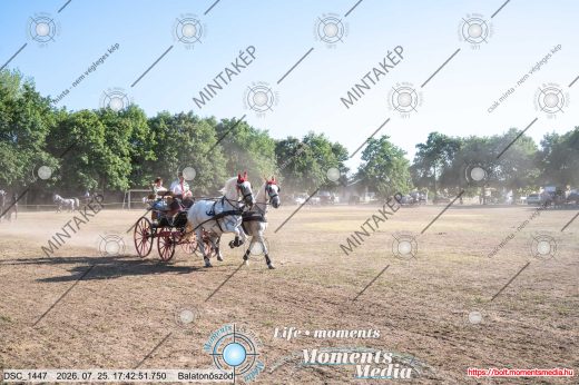 Mintakép 20260725-1723