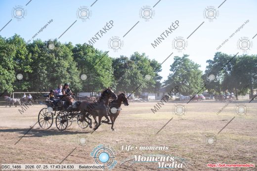 Mintakép 20260725-1735