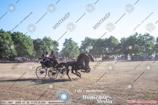 Mintakép 20260725-1736