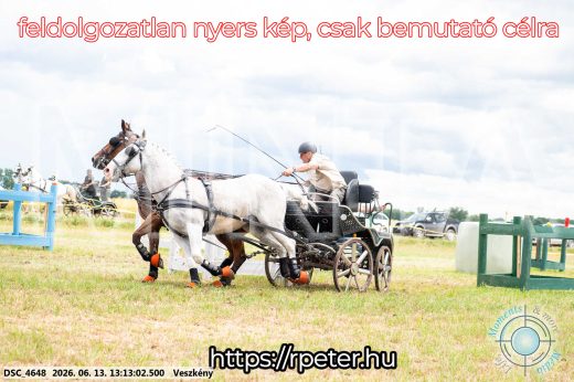 Mintakép 20260613-48