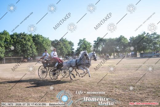 Mintakép 20260725-1741