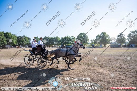 Mintakép 20260725-1747