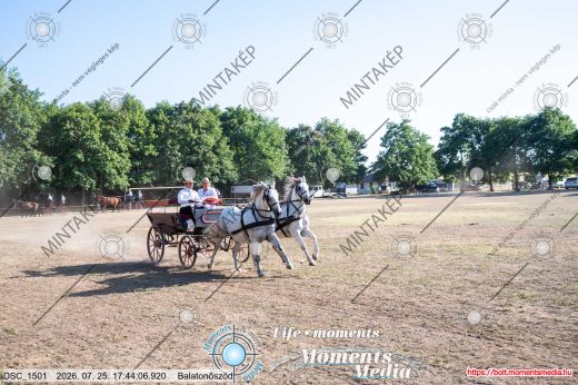 Mintakép 20260725-1759