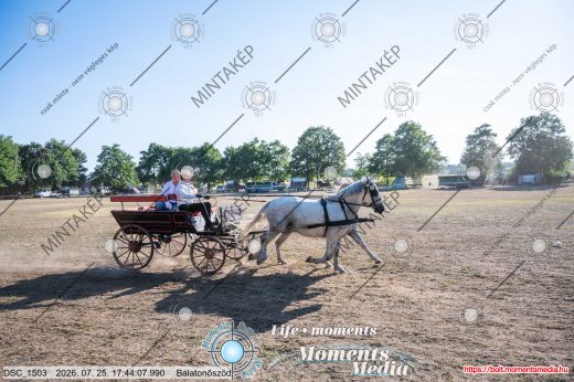 Mintakép 20260725-1761