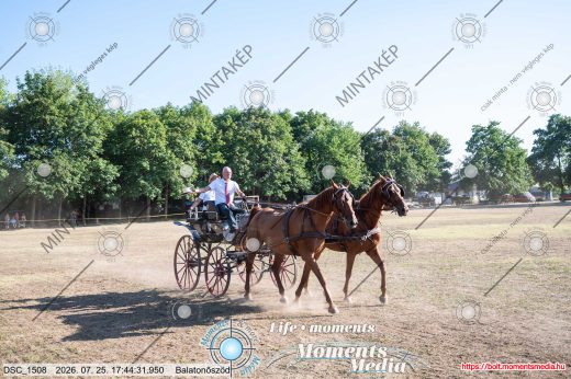 Mintakép 20260725-1764