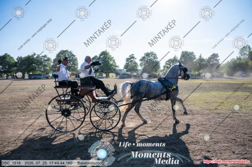 Mintakép 20260725-1769