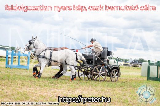 Mintakép 20260613-49