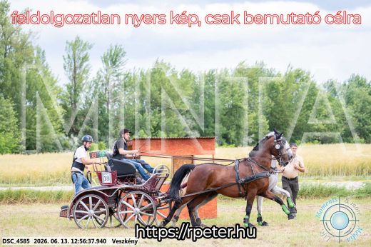 Mintakép 20260613-1251