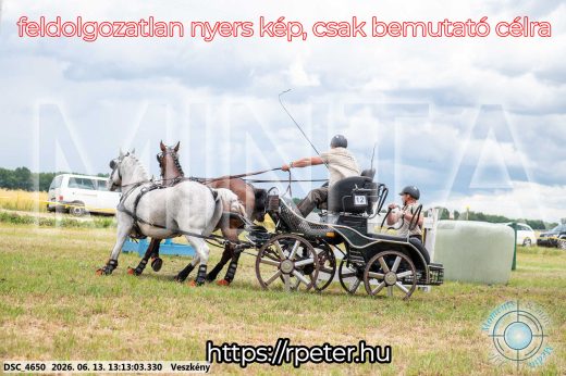 Mintakép 20260613-50