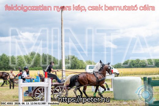 Mintakép 20260613-1259