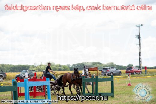 Mintakép 20260613-1260