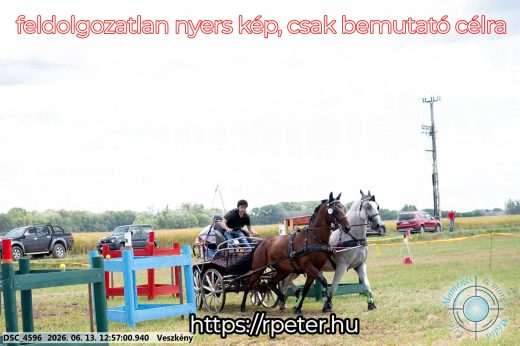 Mintakép 20260613-1262