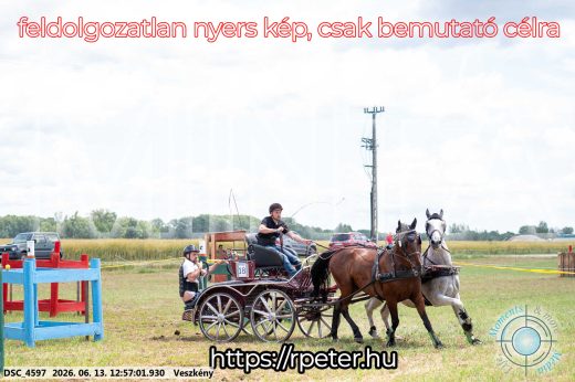 Mintakép 20260613-1263