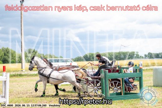 Mintakép 20260613-1266