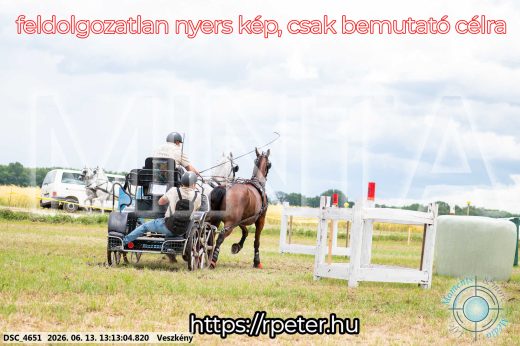 Mintakép 20260613-51