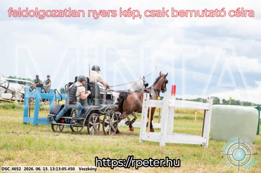 Mintakép 20260613-52