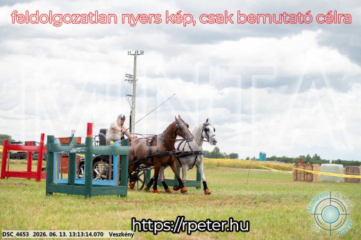 Mintakép 20260613-53